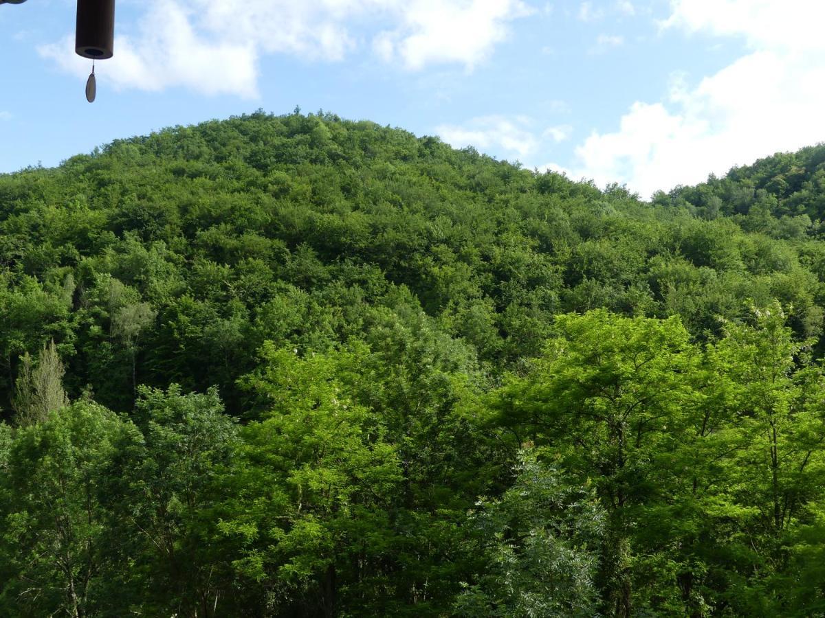 Mas-d'Azil Source Nature מראה חיצוני תמונה