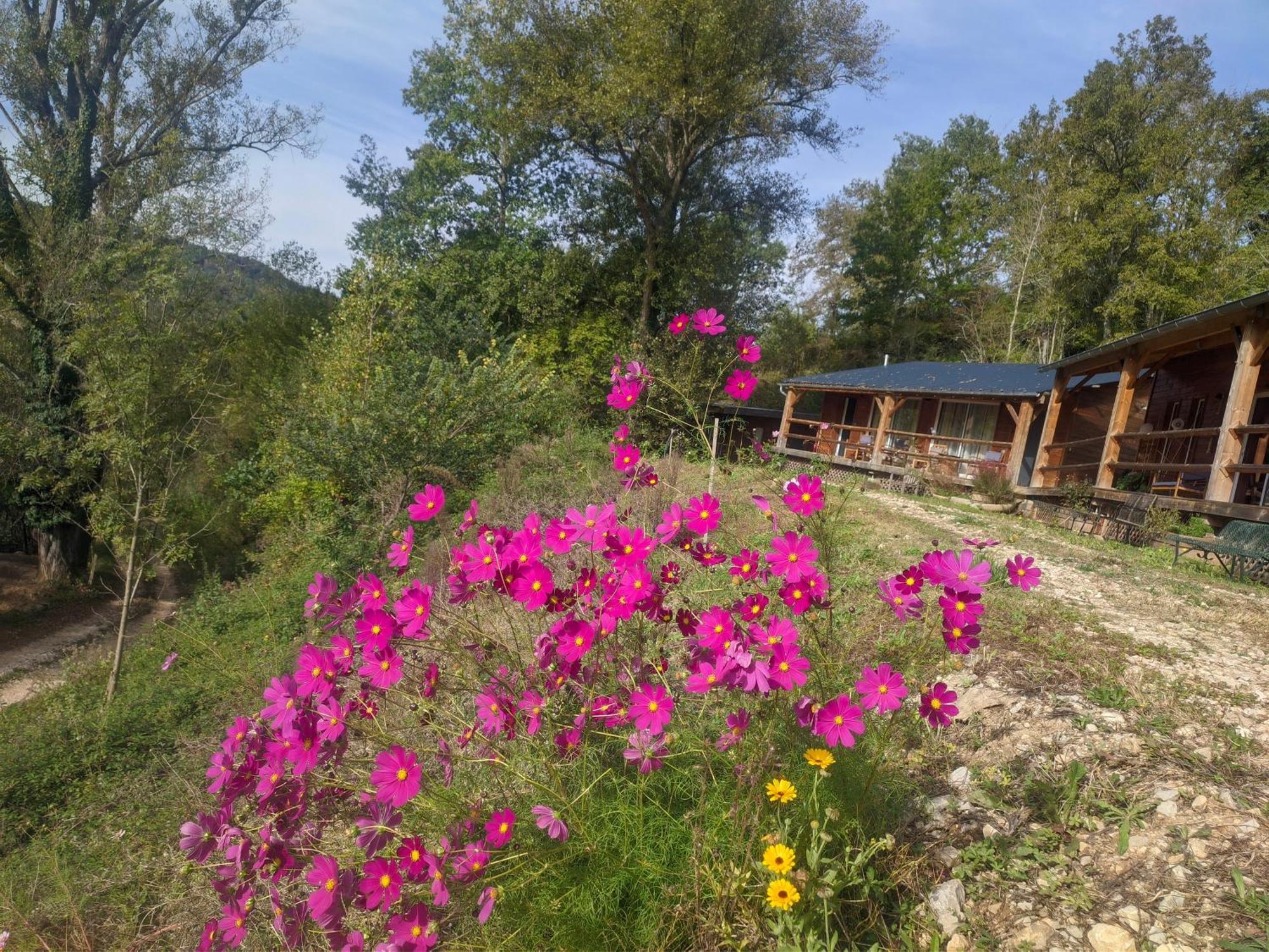 Mas-d'Azil Source Nature חדר תמונה